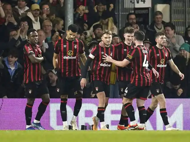 伯恩茅斯：英超绿茵场上的&ldquo;海鸥逆袭记&rdquo;