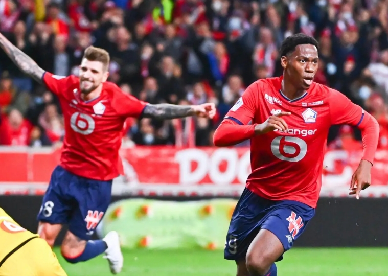 里尔:法甲赛场上的“坚韧雄狮”